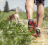 Obuv pre aktívnych – aké topánky si vybrať na tréning alebo na túru?